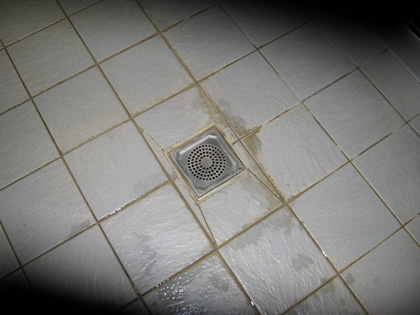 Drain opening in Floor